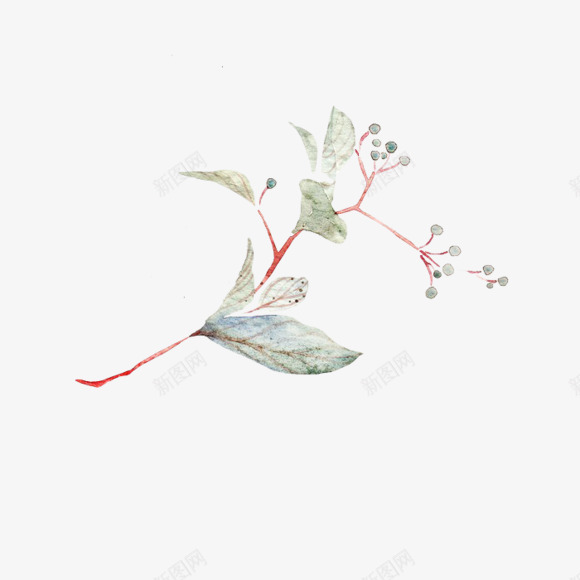 花叶子插画png免抠素材_新图网 https://ixintu.com 叶子 插画 素材