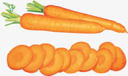 萝卜切片手绘蔬菜高清图片