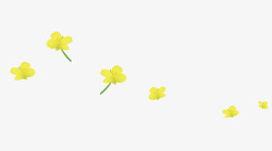 春天黄色鲜花油菜花开手绘植物黄色油菜花插画高清图片