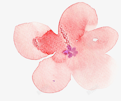 粉色花卉创意工作室png免抠素材_新图网 https://ixintu.com 创意 工作室 粉色 素材 花卉