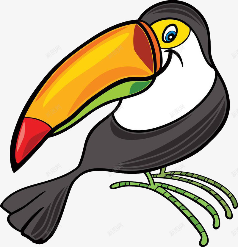 热带雨林中的鸟png免抠素材_新图网 https://ixintu.com 丛林中的鸟 热带丛林的鸟 热带森林 热带雨林 热带雨林中的动物 雨林鸟 鸟