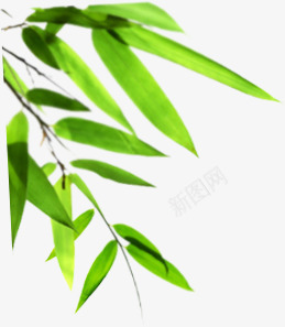创意合成效果绿色的竹子造型png免抠素材_新图网 https://ixintu.com 创意 合成 效果 竹子 绿色 造型