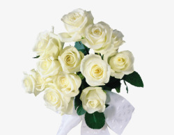 美丽白花一束美丽的玫瑰花儿高清图片