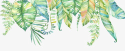 多彩插画素材多彩颜色插画植物叶子高清图片