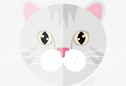 卡通灰色小猫脸部素材