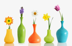 颜色各异的插花与花瓶素材