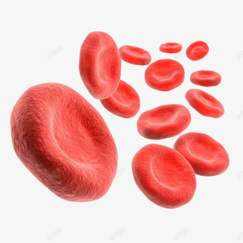 多个血细胞立体插画png免抠素材_新图网 https://ixintu.com 人造 健康 医疗 外科 多个血细胞立体插画 手术 显微 生物学 细胞简笔画 血细胞