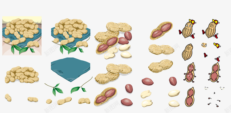花生合集png免抠素材_新图网 https://ixintu.com 合集 插画 花生