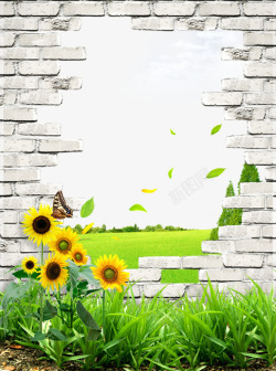 创意太阳花砖墙外面的草地促销模板高清图片