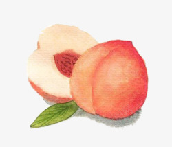手绘果子水彩桃子高清图片