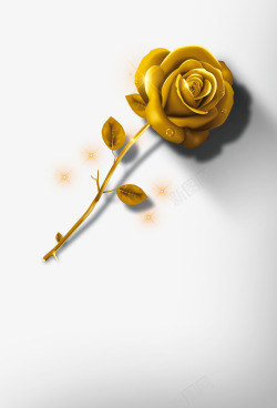 花卉金色玫瑰花高清图片