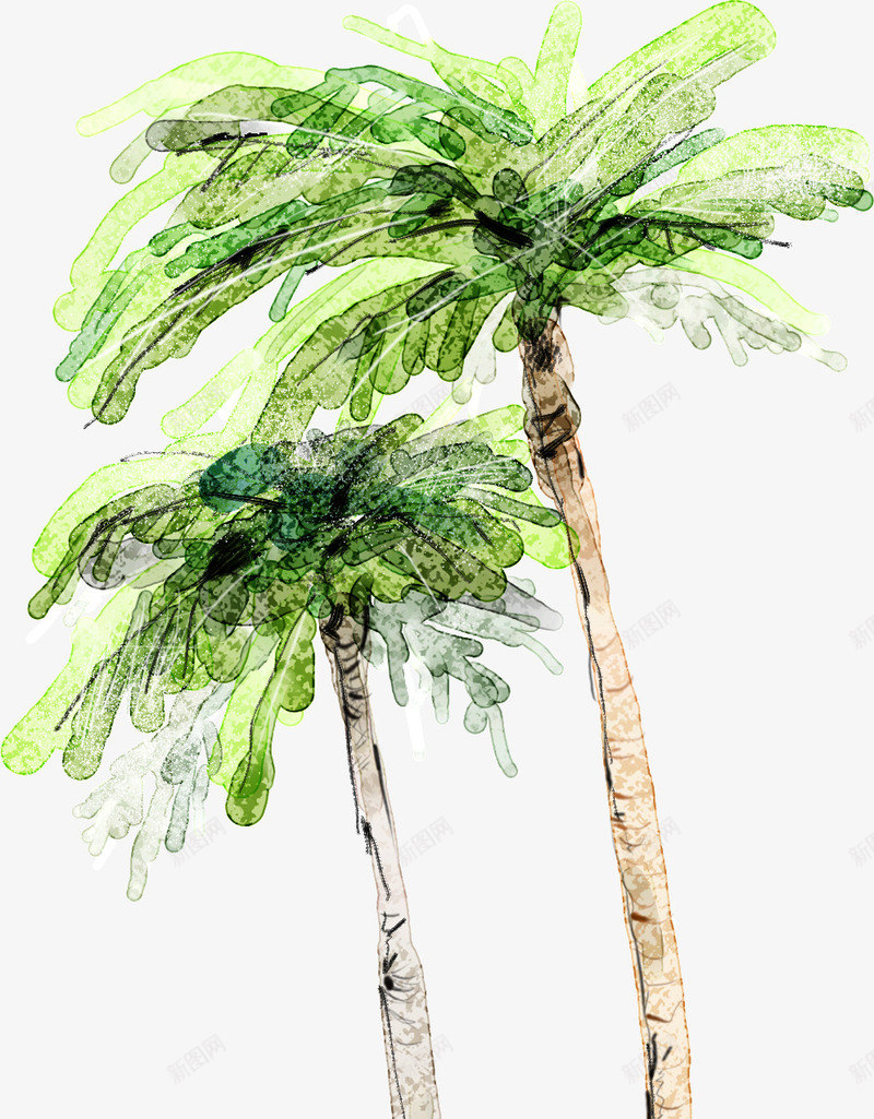 沙滩海边插画植物绿色椰子树png免抠素材_新图网 https://ixintu.com 俯视椰子树 插画 植物 椰子树 沙滩 海边 绿色