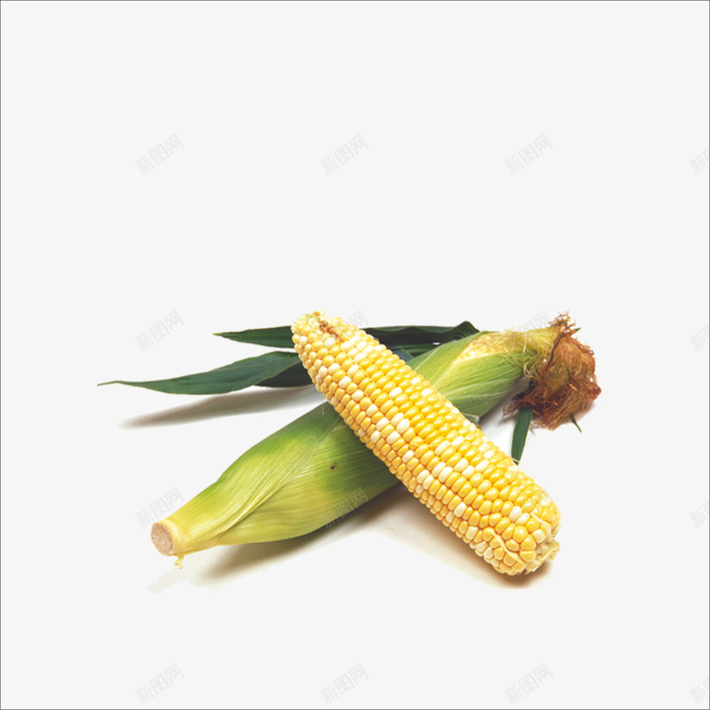 生鲜玉米png免抠素材_新图网 https://ixintu.com 玉米 生鲜 蔬菜 超市生鲜