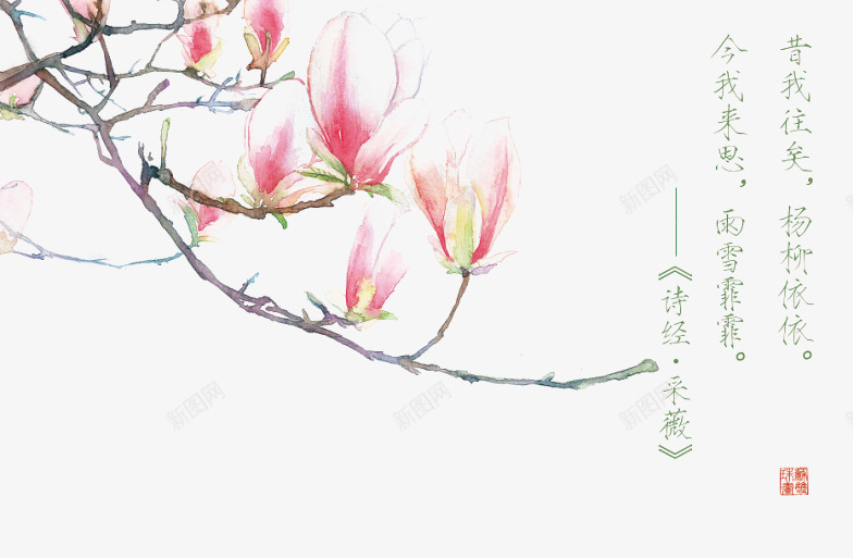 诗经花朵插画配图png免抠素材_新图网 https://ixintu.com 卡通 卡通插画 古风 唯美 手绘 花卉 诗歌 诗经 诗词