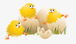 泡沫小鸡黄色可爱出壳泡沫小鸡一组矢量图高清图片
