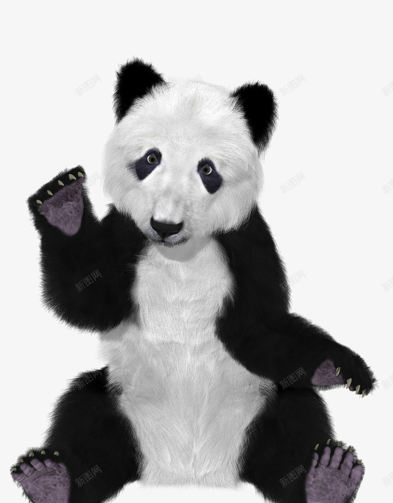 可爱的熊猫png免抠素材_新图网 https://ixintu.com 动物 可爱 熊猫 竹子