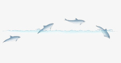 跃起小清新海豚插画高清图片