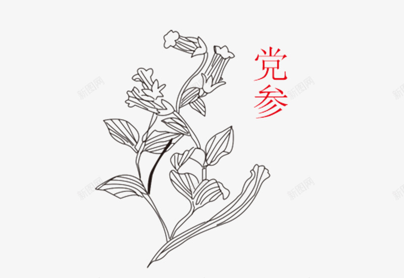 卡通手绘中草药png免抠素材_新图网 https://ixintu.com 中医标志 中草药 中药保健 中药养生 中药材 中药药店 免抠 卡通插画