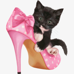猫脸鞋子黑猫高清图片
