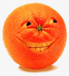 橙子psd免抠素材_新图网 https://ixintu.com 植物 水果 猥琐 笑脸 食物