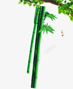 绿色竹子样式宣传素材