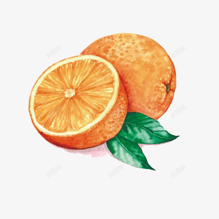 卡通手绘香橙和半个橙子png免抠素材_新图网 https://ixintu.com 半个橙子 卡通 叶子 手绘 插画 橙子 水彩 香橙 香橙卡通