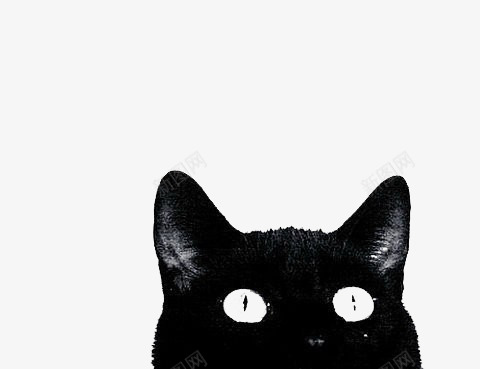 黑色的猫png免抠素材_新图网 https://ixintu.com 双十一 小猫 购物 黑色