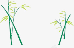小竹子绿色的小竹子高清图片