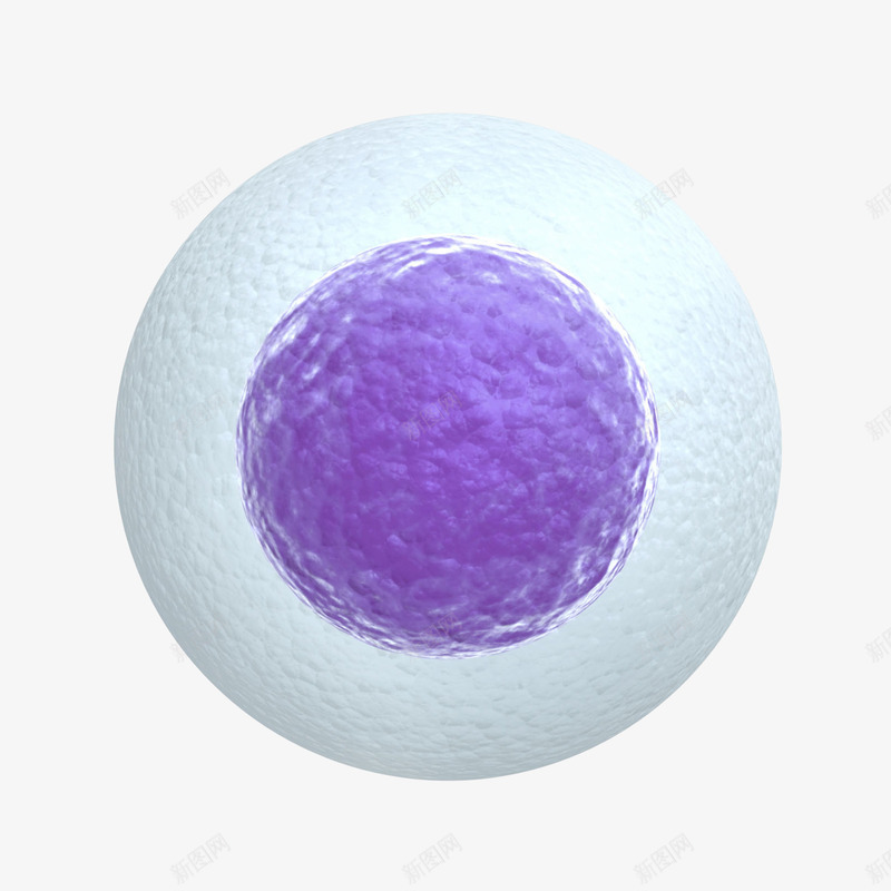 3D卵细胞立体插画png免抠素材_新图网 https://ixintu.com 3D卵细胞立体插画 医疗 卵 生殖 生物学细胞 细胞