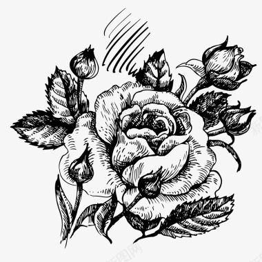 手绘中秋插画手绘花草素描玫瑰花图标图标