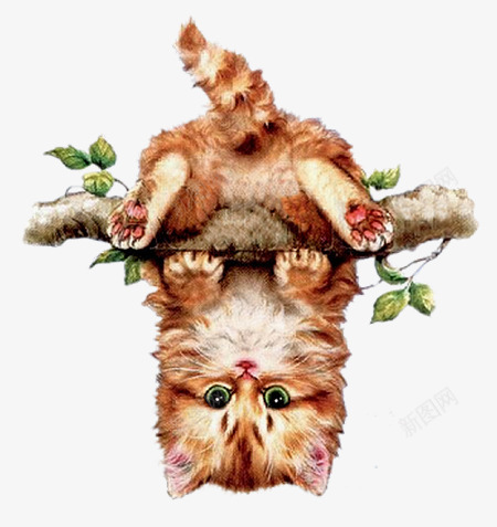 猫咪png免抠素材_新图网 https://ixintu.com 动物 小猫 手绘 树枝 猫 猫咪 野猫