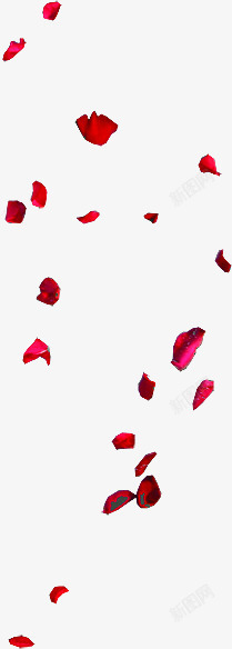 飘落红色花瓣七夕情人节素材