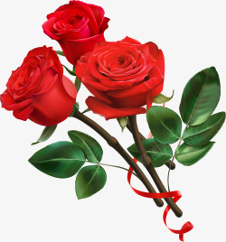 红色美丽玫瑰花枝素材