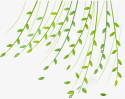 插画绿色杨柳植物效果素材