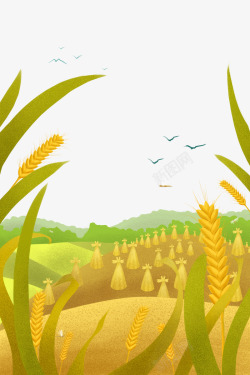 绿黄色二十四节气芒种夏日麦穗丰收清新高清图片