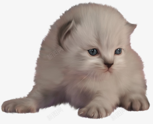 嗷嗷待哺的小猫咪png免抠素材_新图网 https://ixintu.com 刚出生 小猫 幼猫 白猫 趴着的