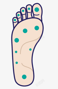 足部养生按摩机人体足部穴位图矢量图高清图片
