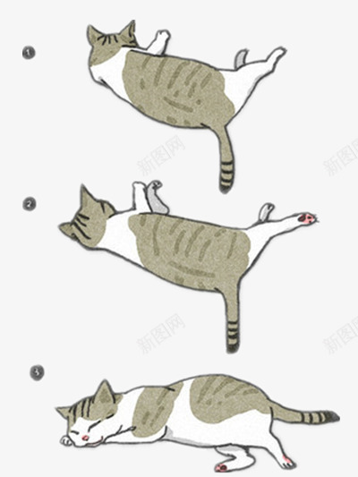 小猫可爱png免抠素材_新图网 https://ixintu.com 唯美 简单 非主流