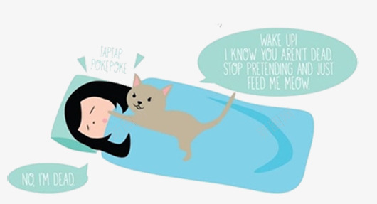 卡通睡觉女孩png免抠素材_新图网 https://ixintu.com 宠物 小猫 睡觉 骚扰