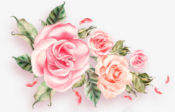 粉色情人节玫瑰花丛素材