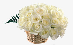 一束白色花一束儿花篮白玫瑰高清图片