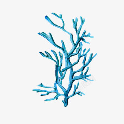 珊瑚绒海报卡通装饰手绘海洋生物海报高清图片