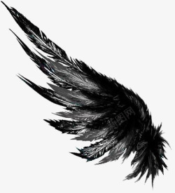 水彩翅膀黑色羽翼高清图片