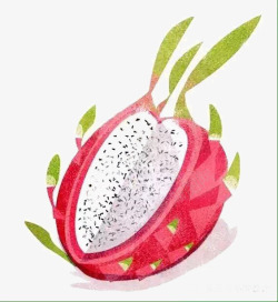 白心火龙果手绘插画火龙果高清图片
