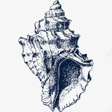 手绘漂亮海螺贝壳图标图标