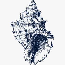 漂亮海螺矢量手绘漂亮海螺贝壳图标高清图片