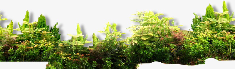 灌木矮森林装饰图案png免抠素材_新图网 https://ixintu.com 森林 清新 灌木 绿色 装饰