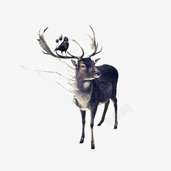 抽象麋鹿手绘麋鹿与犄角的鸟高清图片