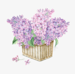 文艺插花手绘紫色花朵花卉插花高清图片