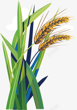 黄色小麦植物卡通插画矢量图素材